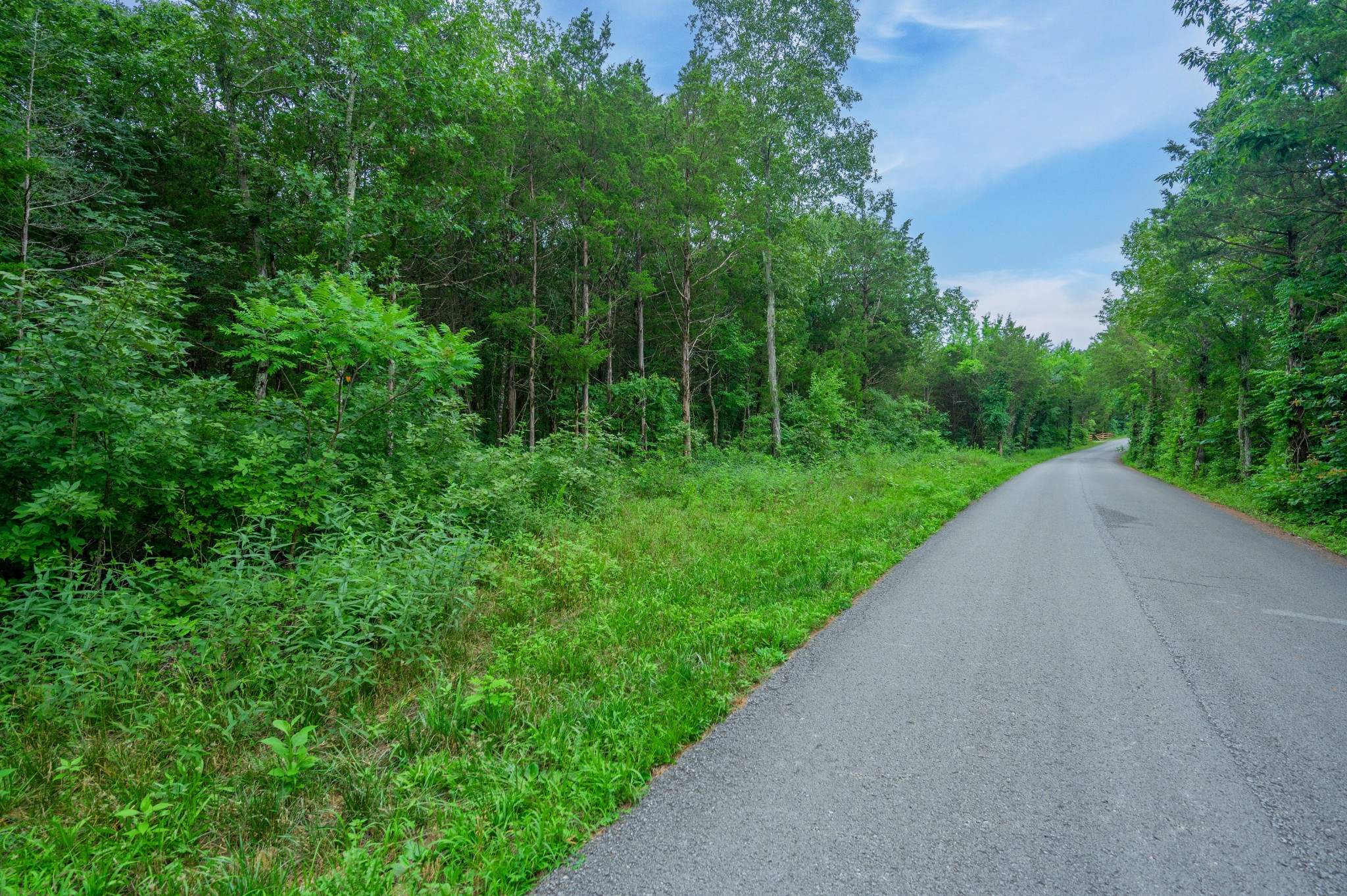 0 Zachary Road Lebanon, TN 37090 - Photo 11 of 16 a view of a street both side of grassy field with trees