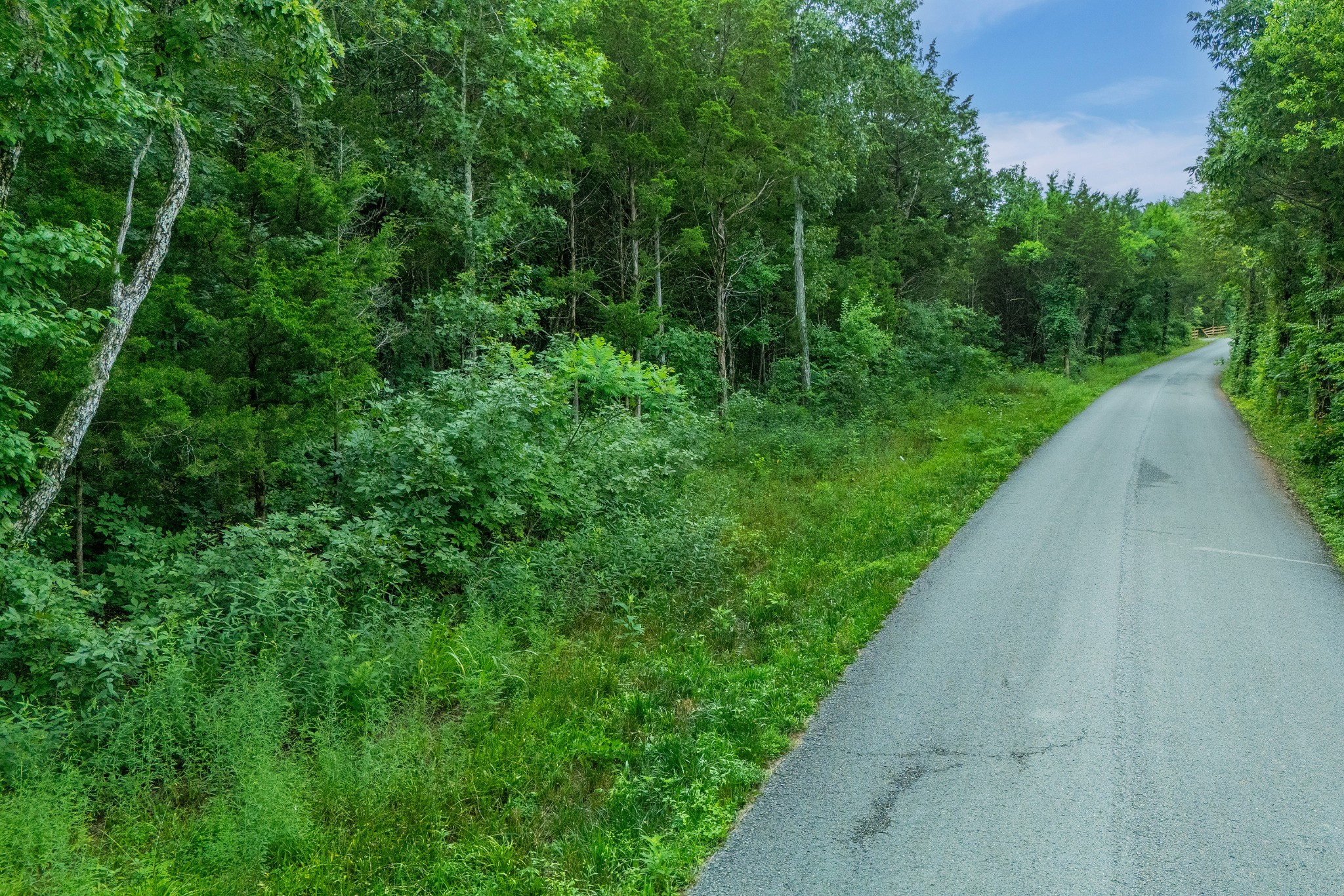 0 Zachary Road Lebanon, TN 37090 - Photo 12 of 16 a view of a garden with a pathway