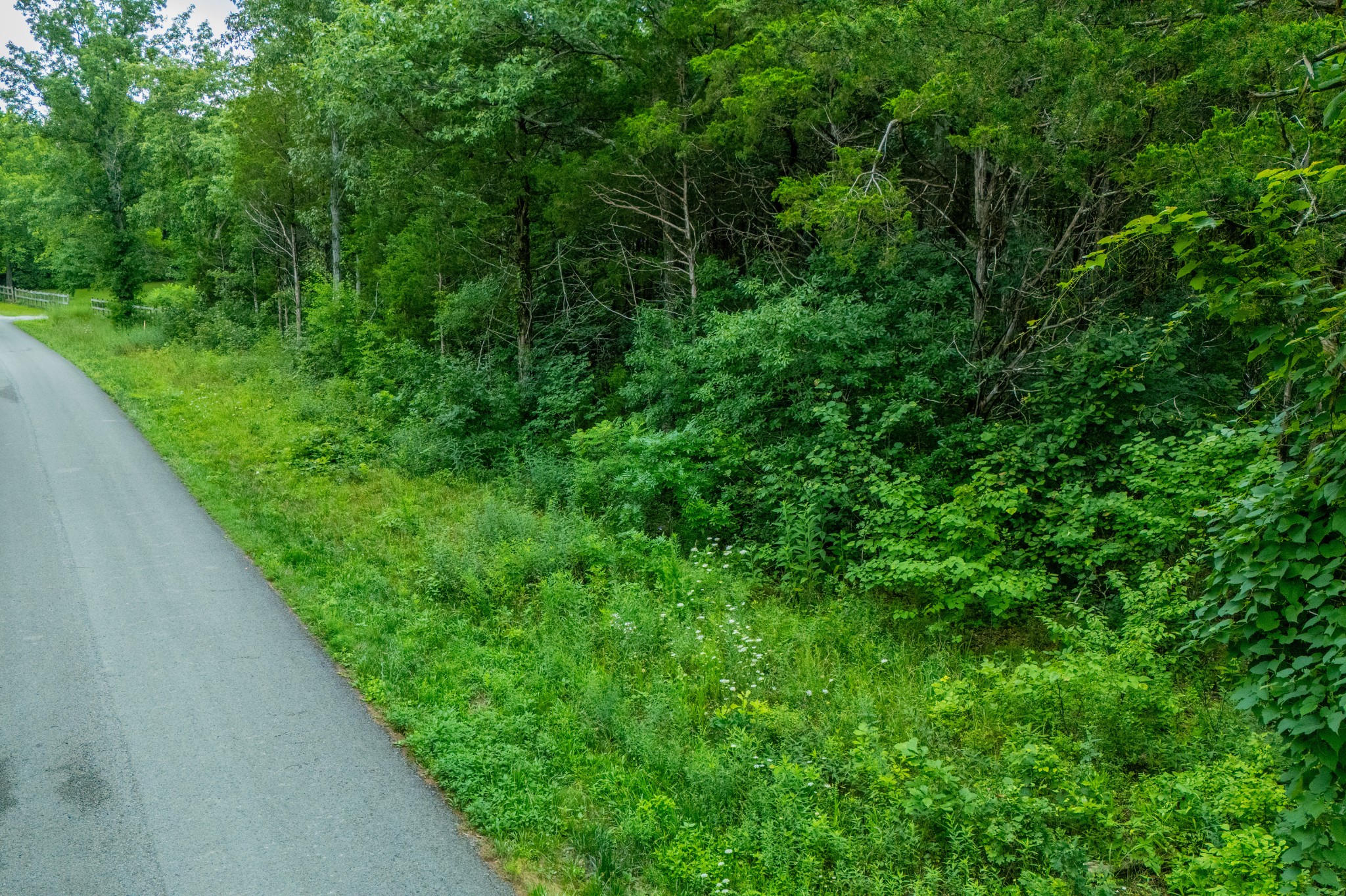 0 Zachary Road Lebanon, TN 37090 - Photo 14 of 16 a view of a green field with lots of bushes