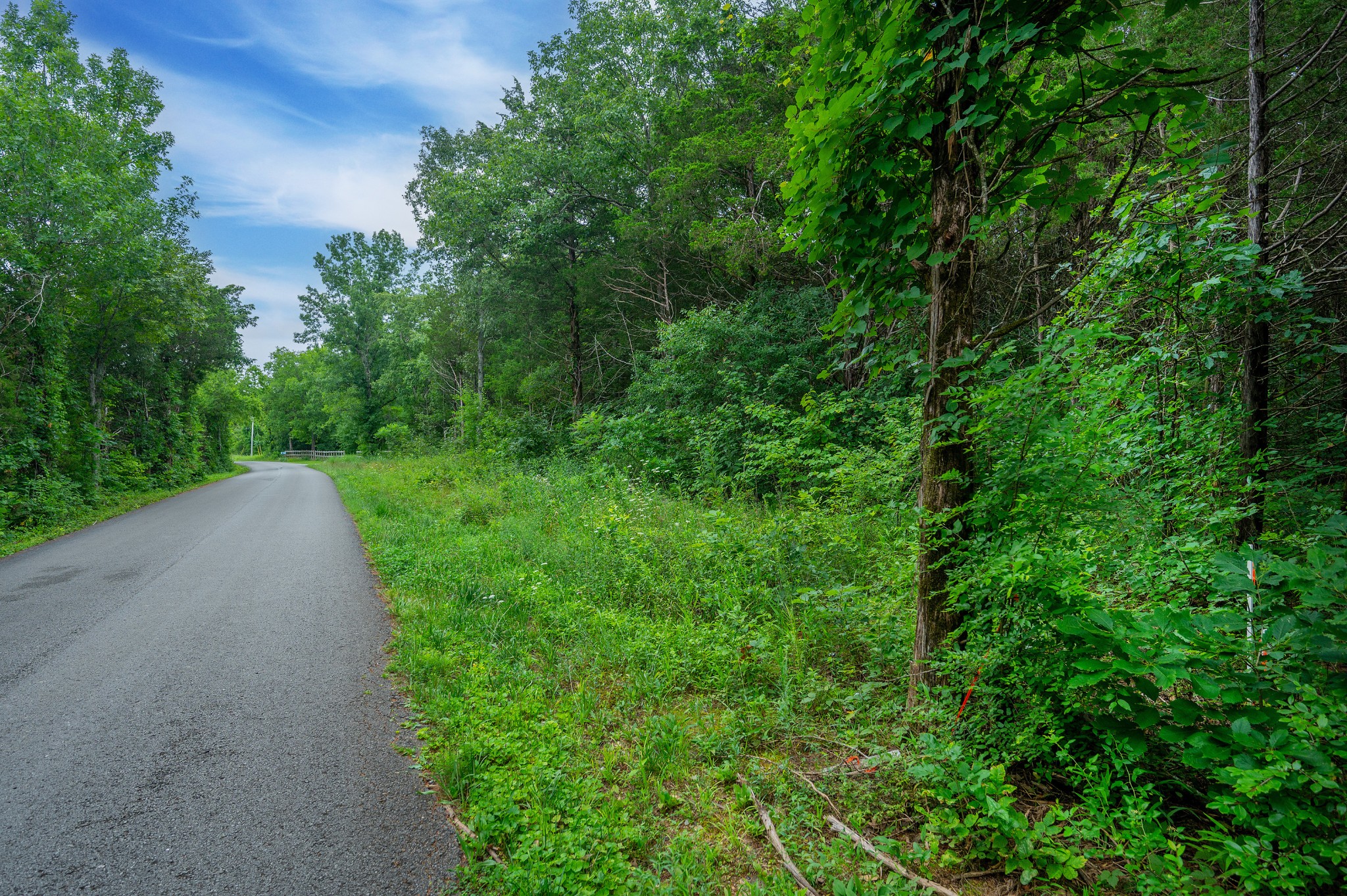 0 Zachary Road Lebanon, TN 37090 - Photo 10 of 16 a view of a green field with lots of bushes