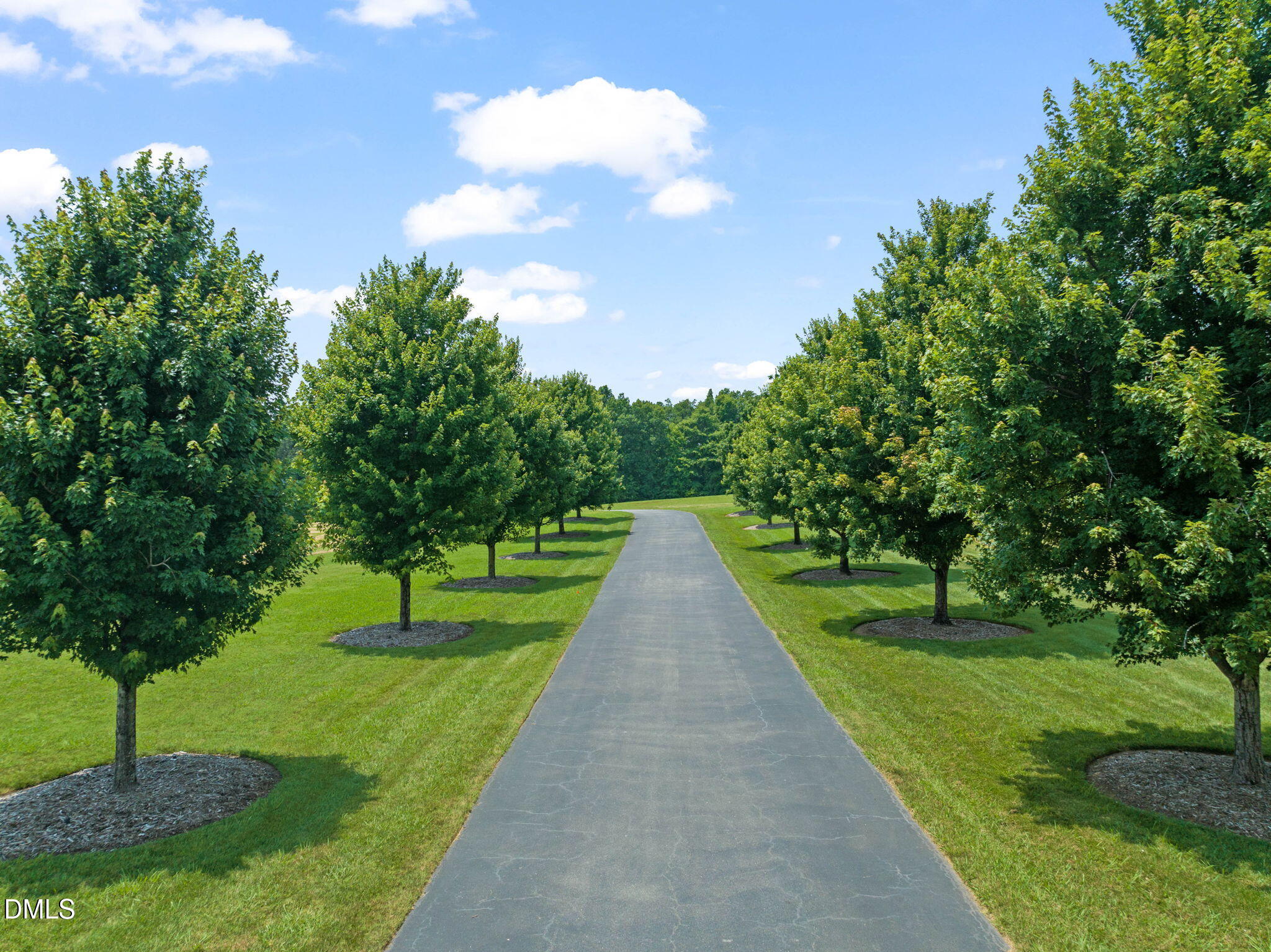 7505 New Sharon Church Road Rougemont, NC 27572 - Photo 81 of 99 21-web-or-mls-untitled-25