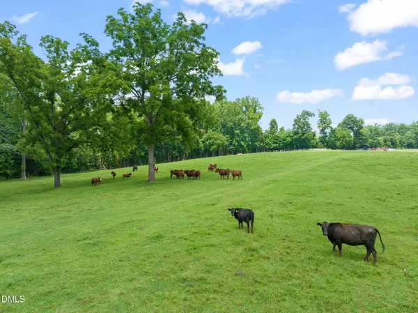 $29,900,000 | 7505 New Sharon Church Road, Rougemont, NC 27572