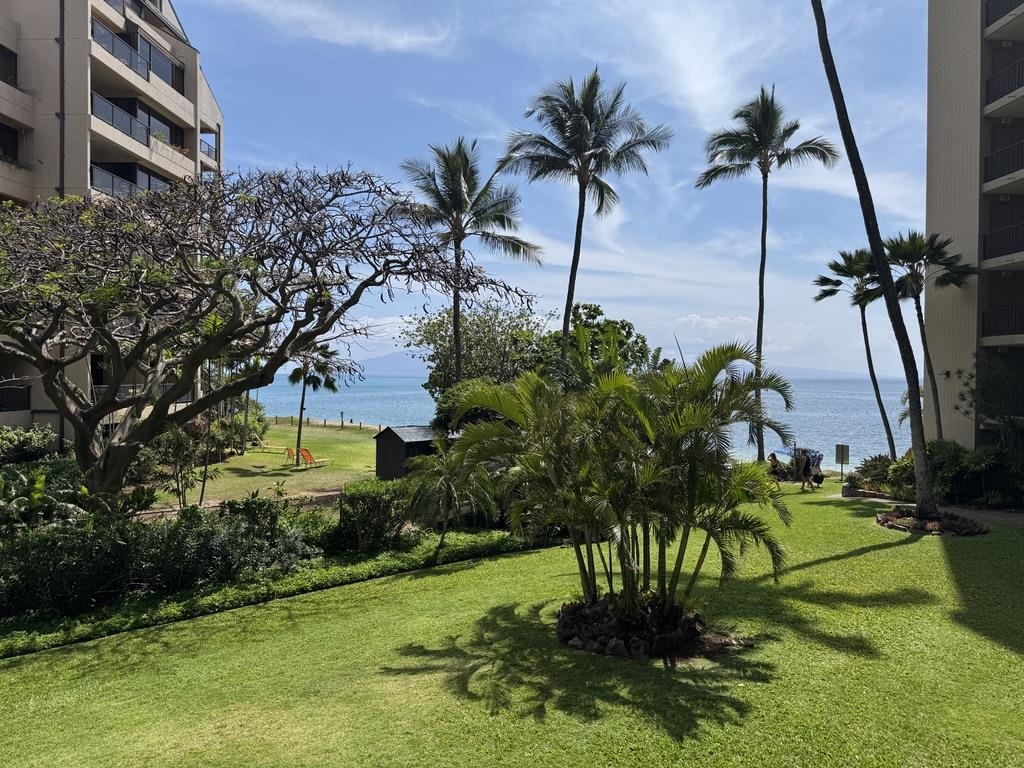 4327 Lower Honoapiilani Road, Unit 201B Lahaina, HI 96761 - Photo 1 of 26 a view of a backyard