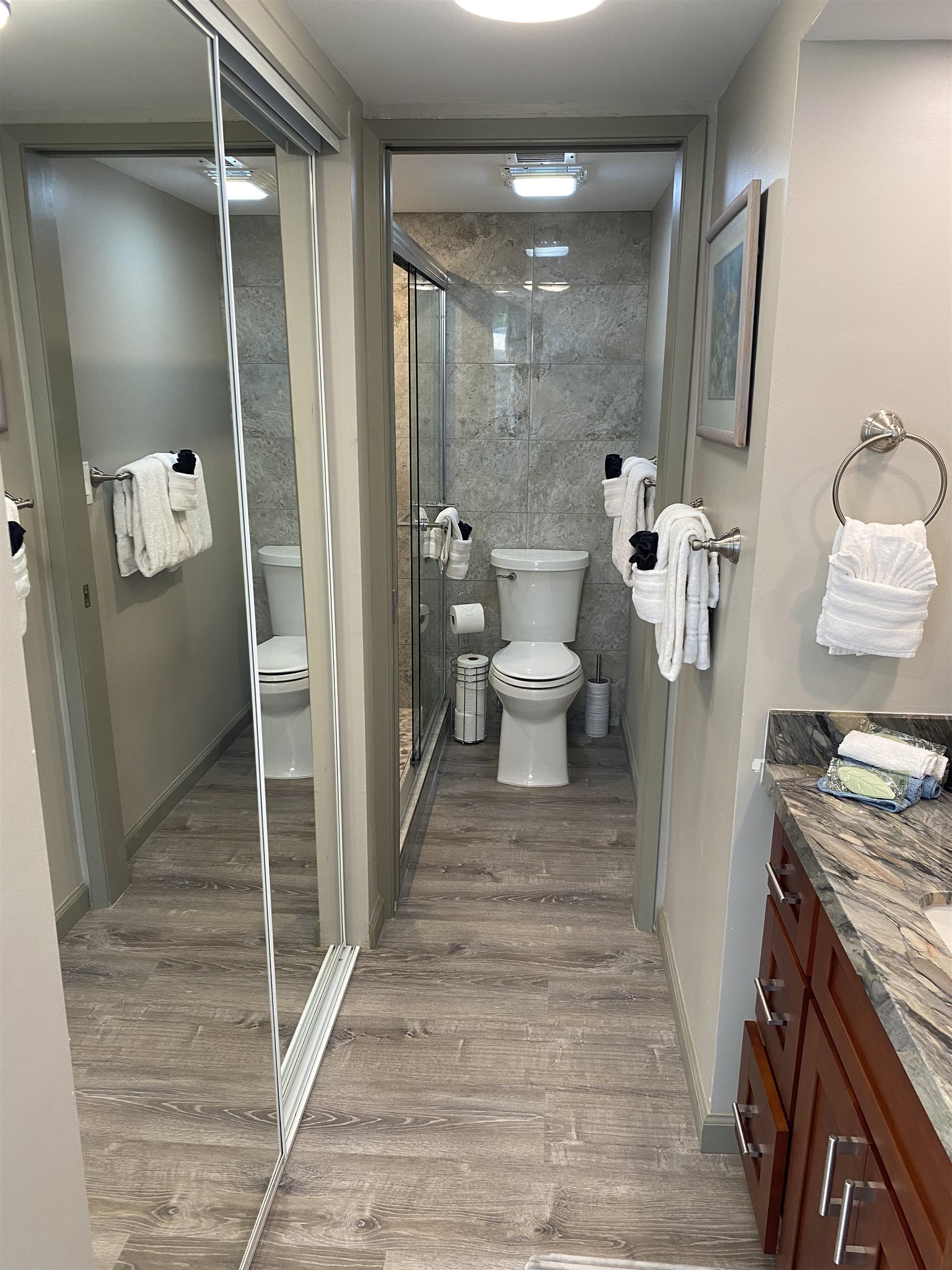 4327 Lower Honoapiilani Road, Unit 201B Lahaina, HI 96761 - Photo 11 of 26 a bathroom with a sink and a mirror