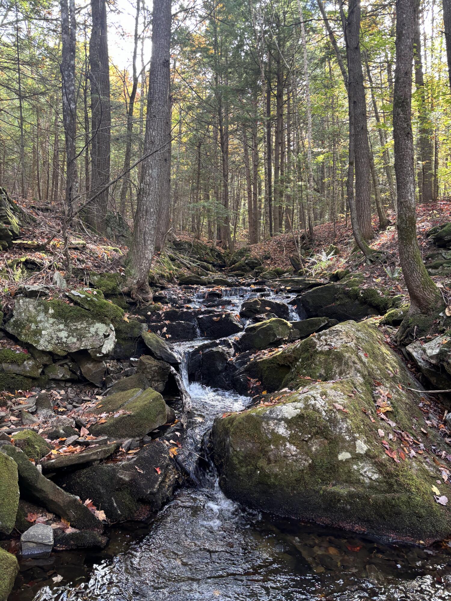 18 Hayes Hill Road Greenwood, ME 04255 - Photo 1 of 13 IMG_9920