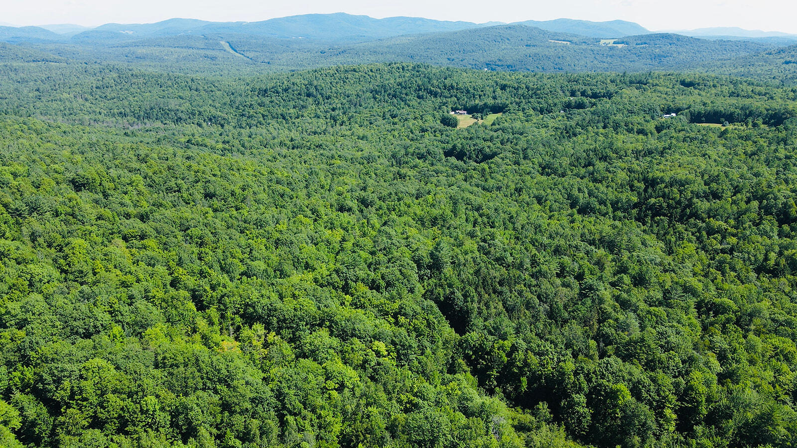 18 Hayes Hill Road Greenwood, ME 04255 - Photo 11 of 13 dji_fly_20250723_102014_860_175328048731