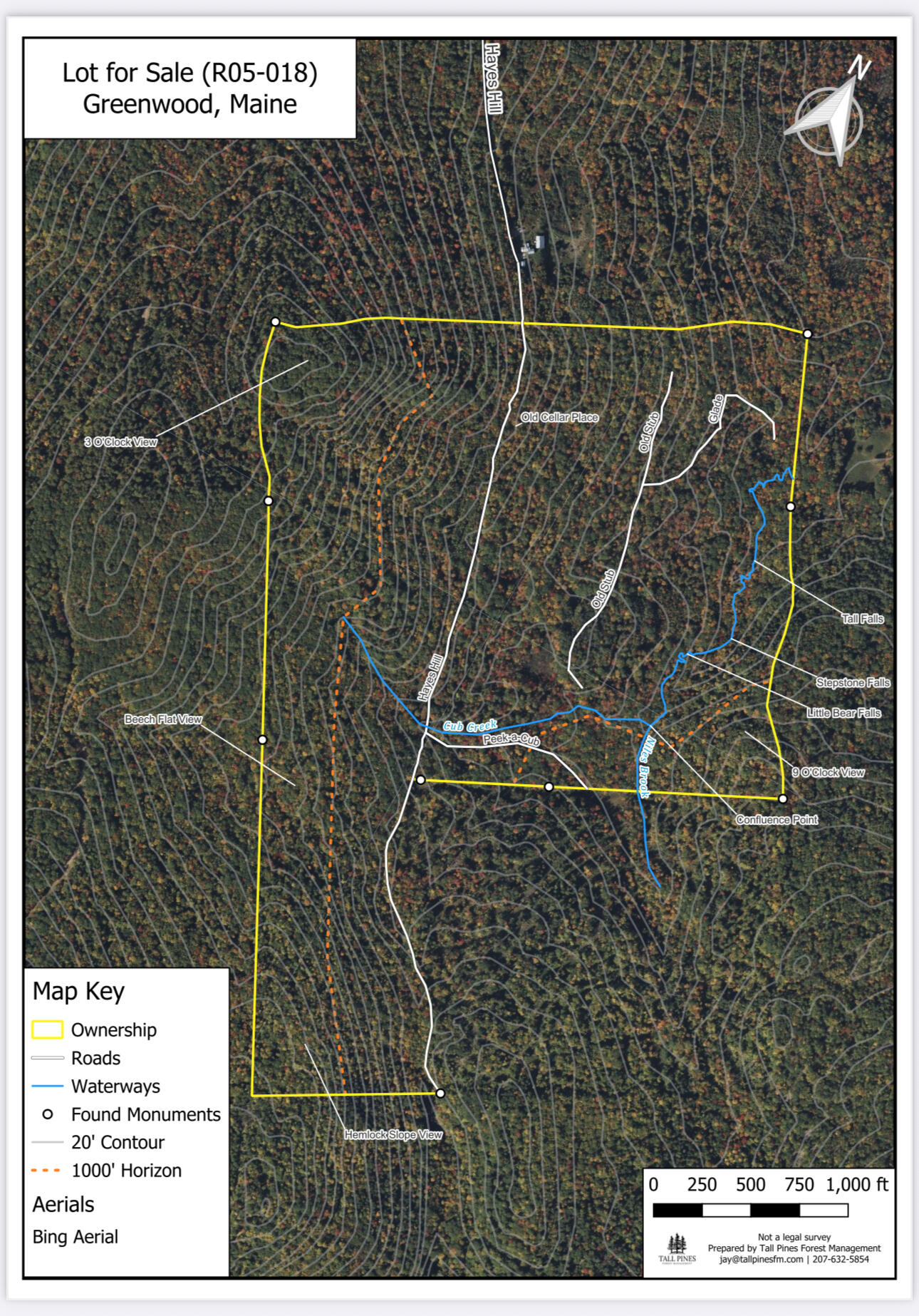 18 Hayes Hill Road Greenwood, ME 04255 - Photo 13 of 13 IMG_1549