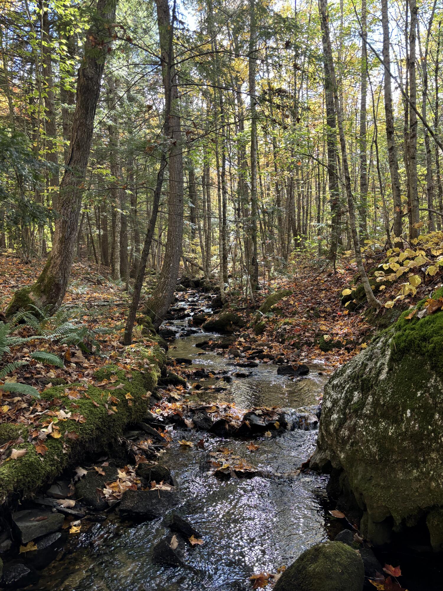 18 Hayes Hill Road Greenwood, ME 04255 - Photo 2 of 13 IMG_9917