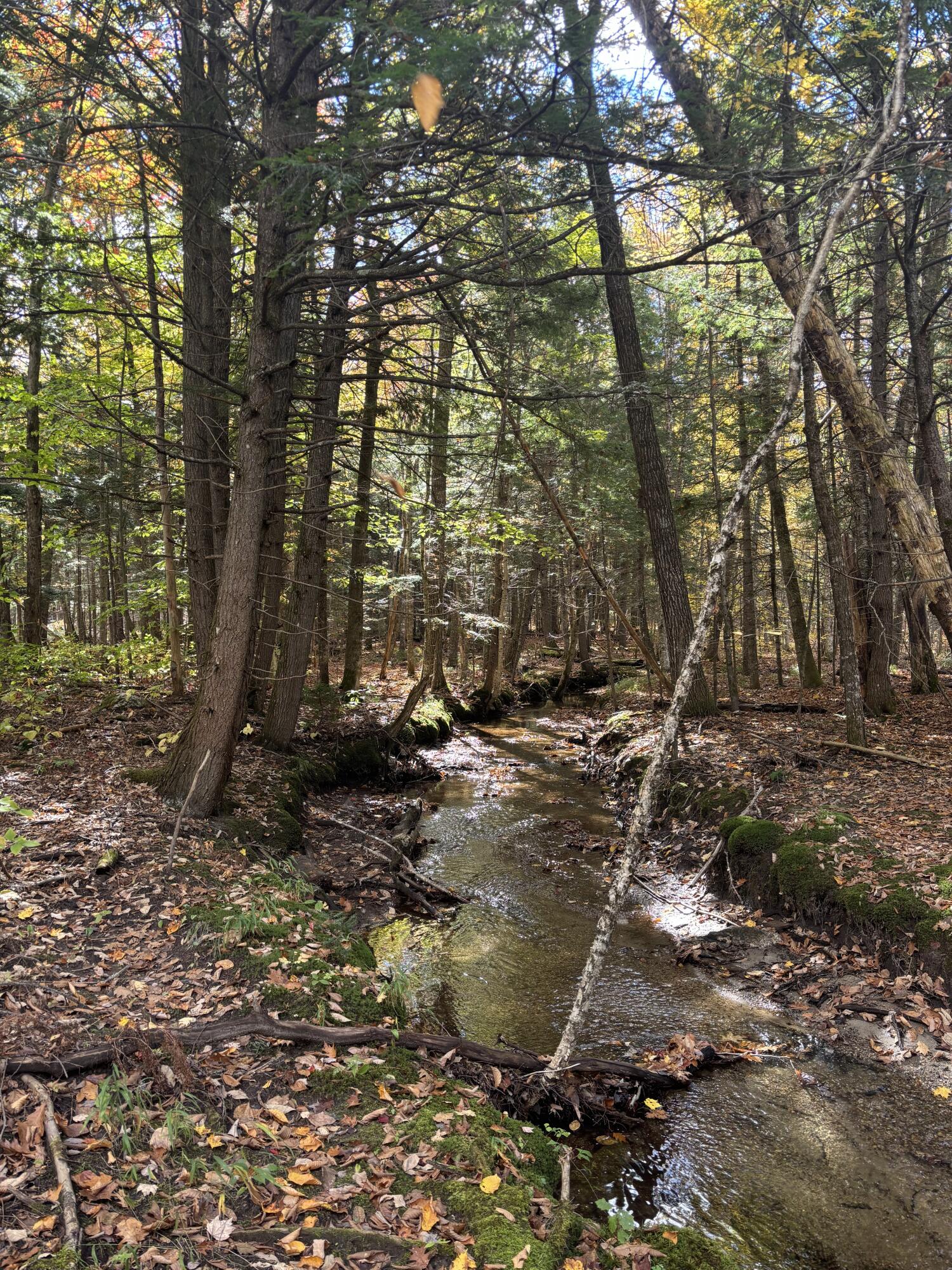 18 Hayes Hill Road Greenwood, ME 04255 - Photo 3 of 13 IMG_9897
