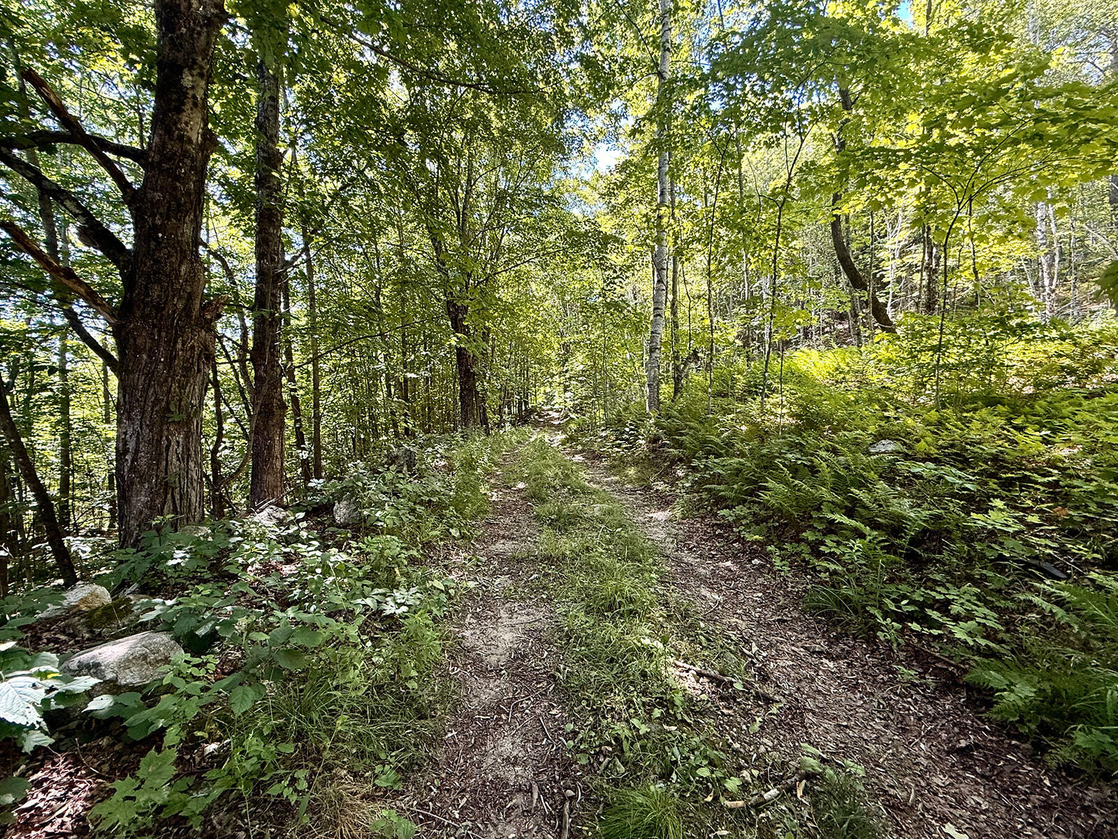 18 Hayes Hill Road Greenwood, ME 04255 - Photo 4 of 13 IMG_8862