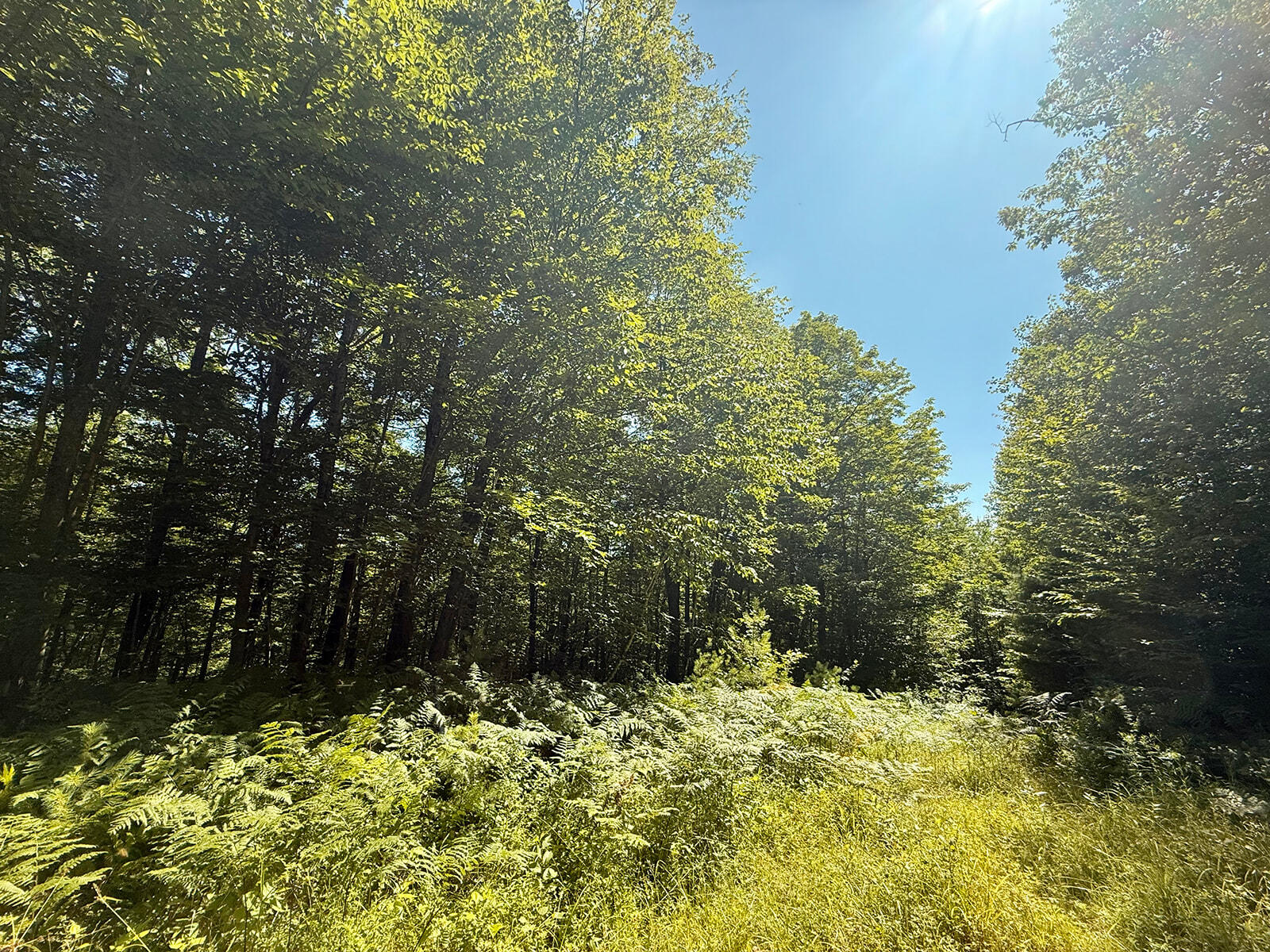 18 Hayes Hill Road Greenwood, ME 04255 - Photo 5 of 13 IMG_8851