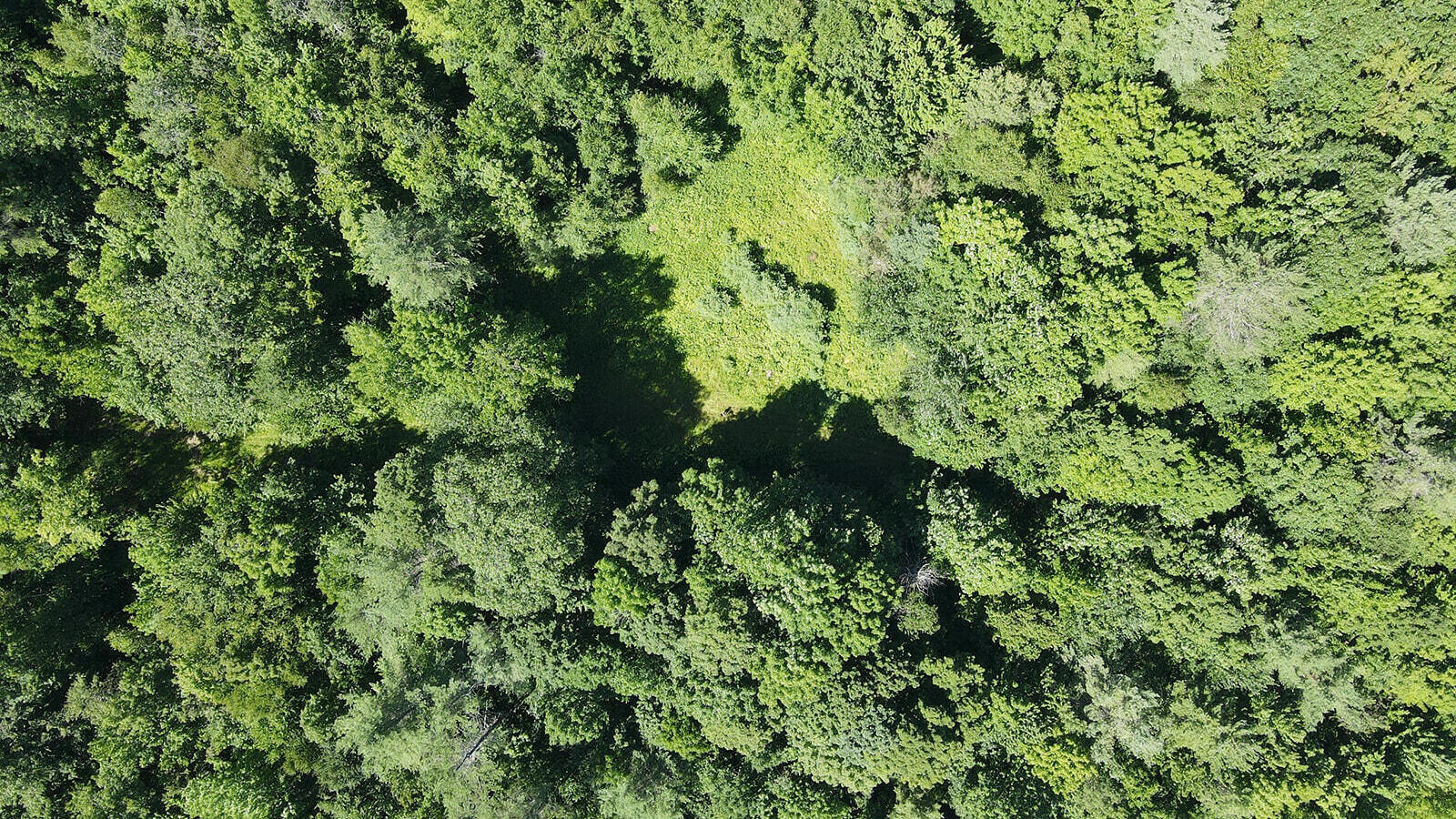 18 Hayes Hill Road Greenwood, ME 04255 - Photo 9 of 13 dji_fly_20250723_101846_834_175328034873