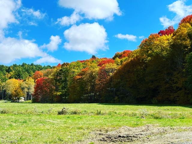 Tbd Flatwoods Road Creston, NC 28615 - Photo 12 of 27