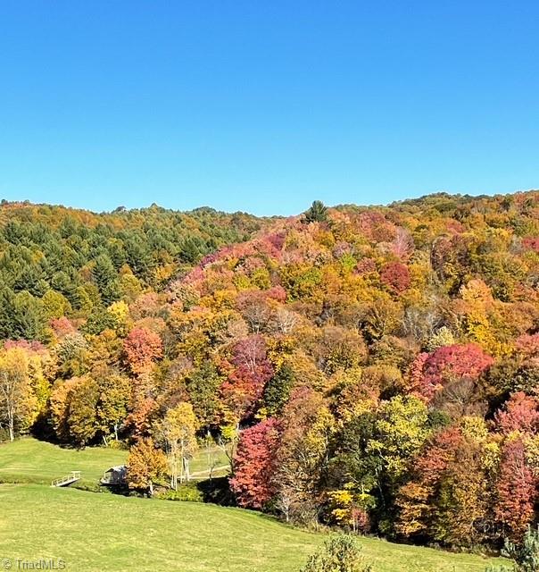 Tbd Flatwoods Road Creston, NC 28615 - Photo 17 of 27