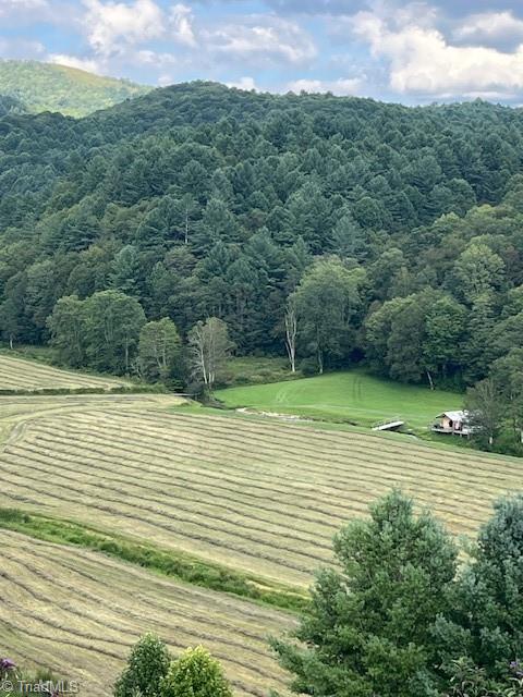 Tbd Flatwoods Road Creston, NC 28615 - Photo 18 of 27