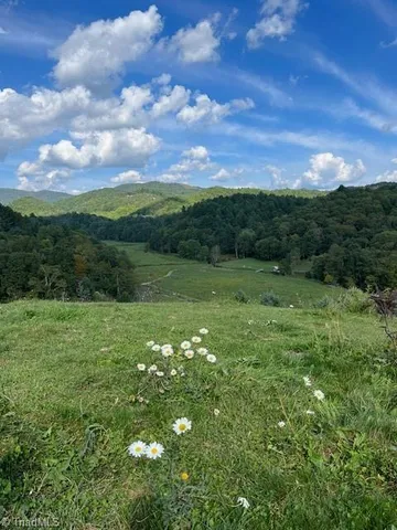 $842,500 | Tbd Flatwoods Road, Creston, NC 28615