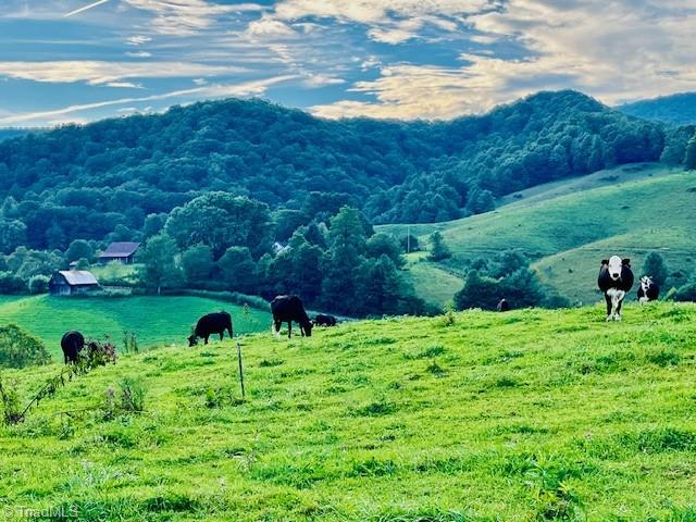Tbd Flatwoods Road Creston, NC 28615 - Photo 25 of 27