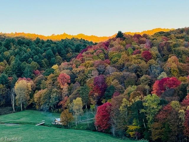 Tbd Flatwoods Road Creston, NC 28615 - Photo 26 of 27