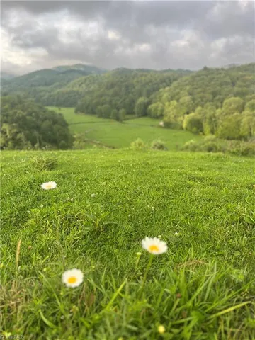 $842,500 | Tbd Flatwoods Road, Creston, NC 28615