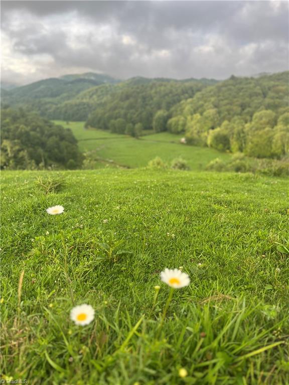 Tbd Flatwoods Road Creston, NC 28615 - Photo 8 of 27