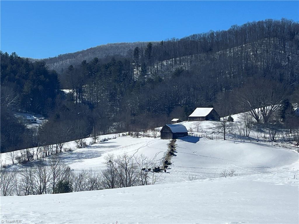 Tbd Flatwoods Road Creston, NC 28615 - Photo 9 of 27