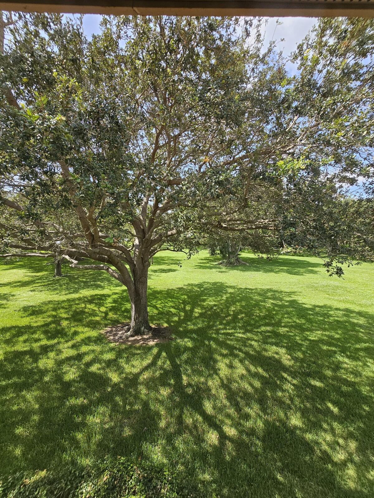 3300 Jaywood Terrace, Unit 2160 Boca Raton, FL 33431 - Photo 21 of 23 20230712_111511_copy_1200x1600