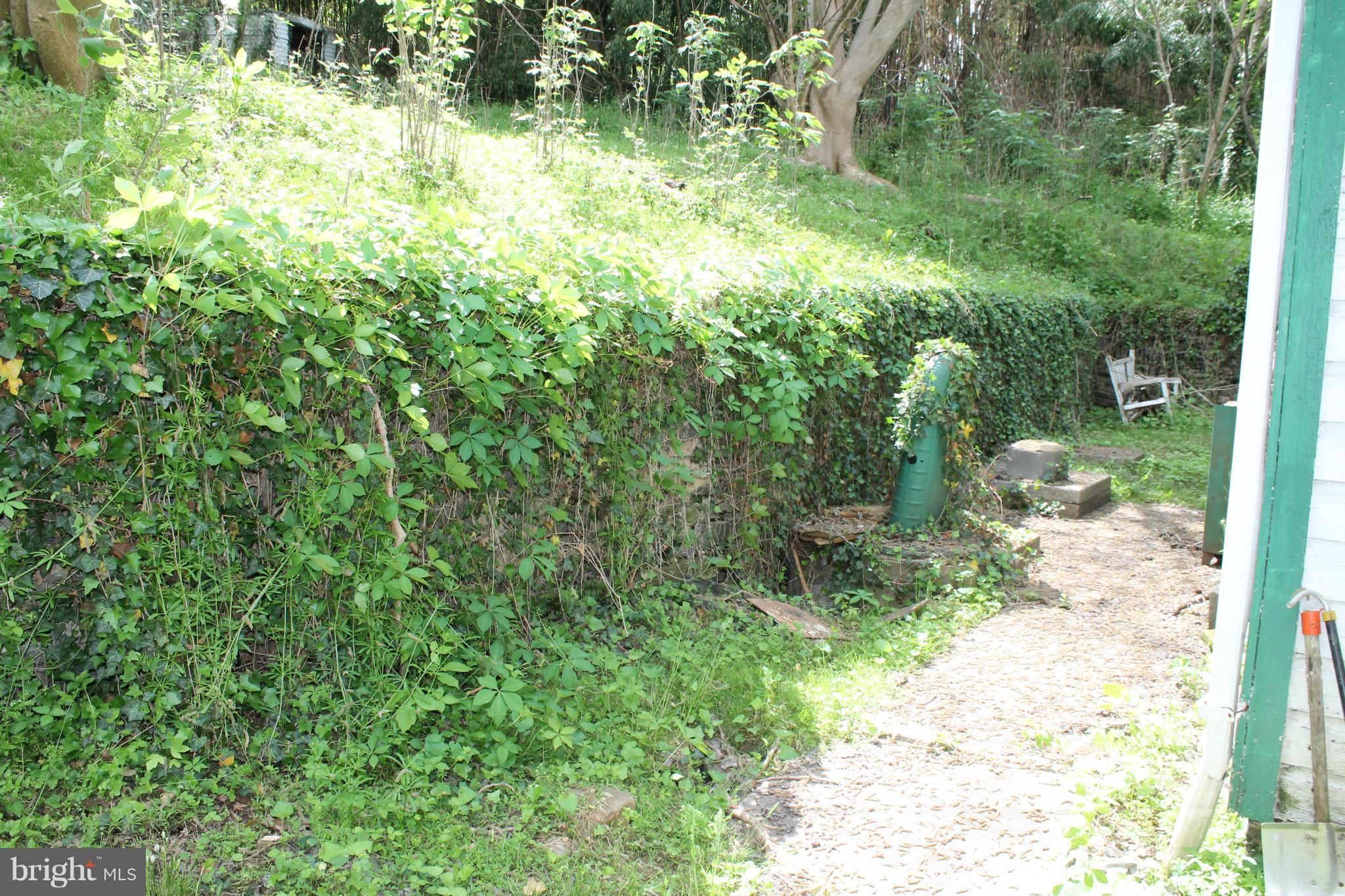 401 Henry Clay Street Harpers Ferry, WV 25425 - Photo 2 of 30 Exterior (Rear)