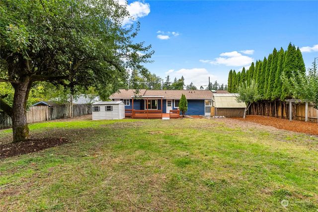 a view of a yard with a tree
