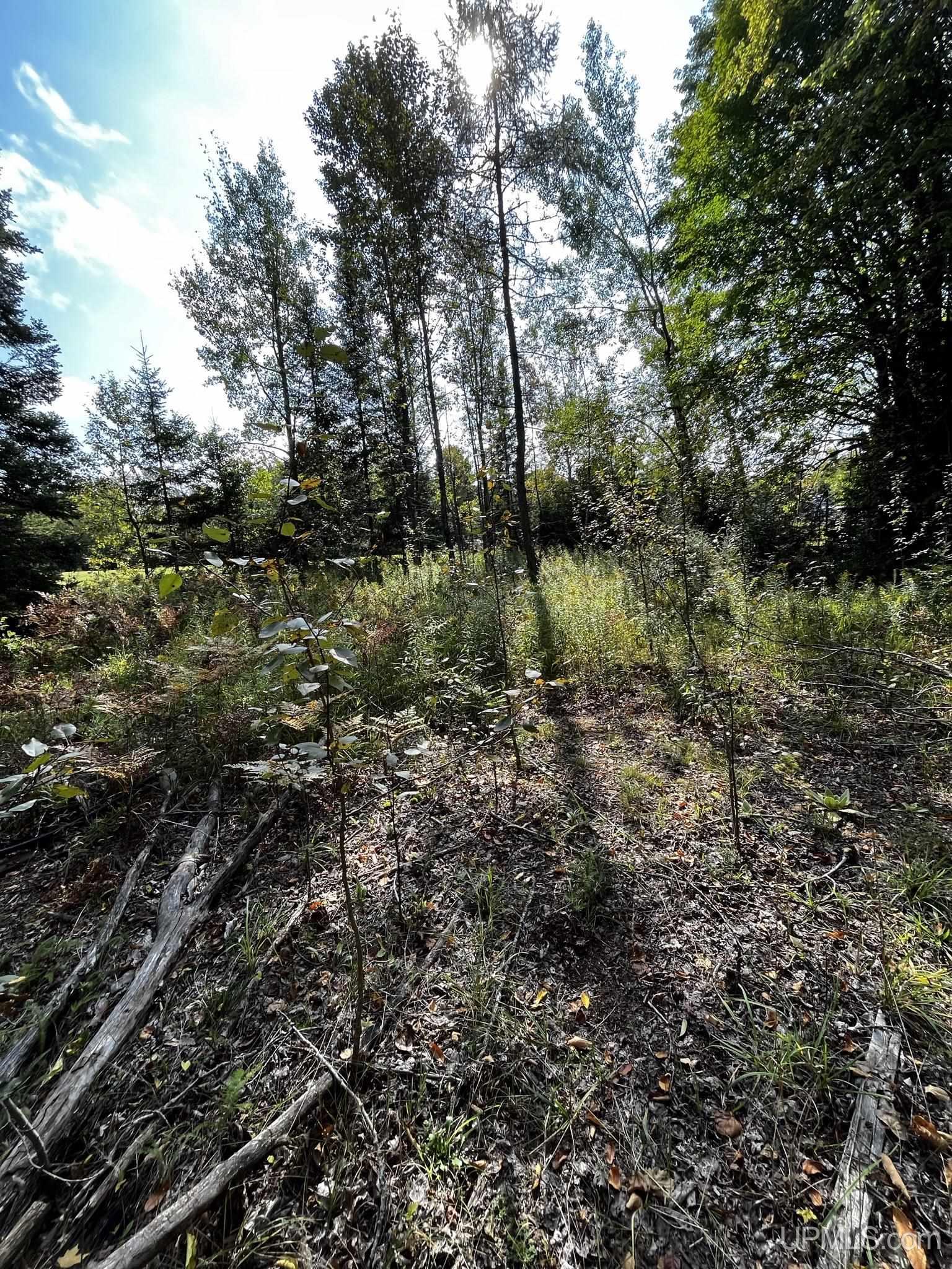 N17966 R-3 Road Vulcan, MI 49892 - Photo 4 of 5