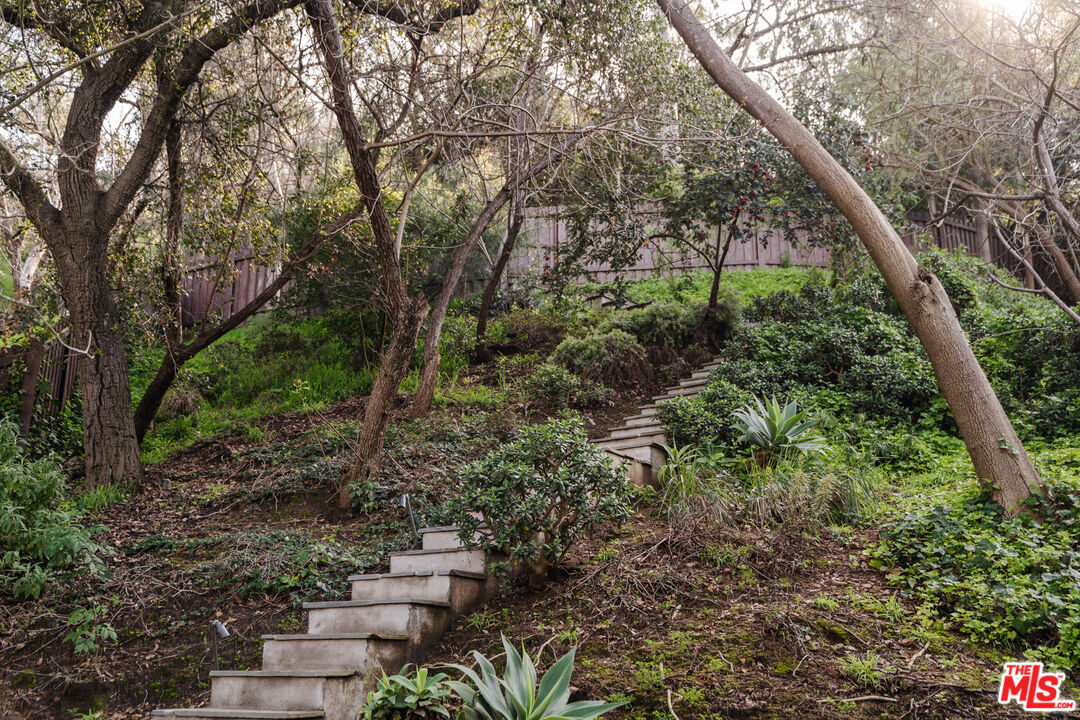 2355 Hermits Glen Los Angeles, CA 90046 - Photo 40 of 45 a view of a forest with a trees