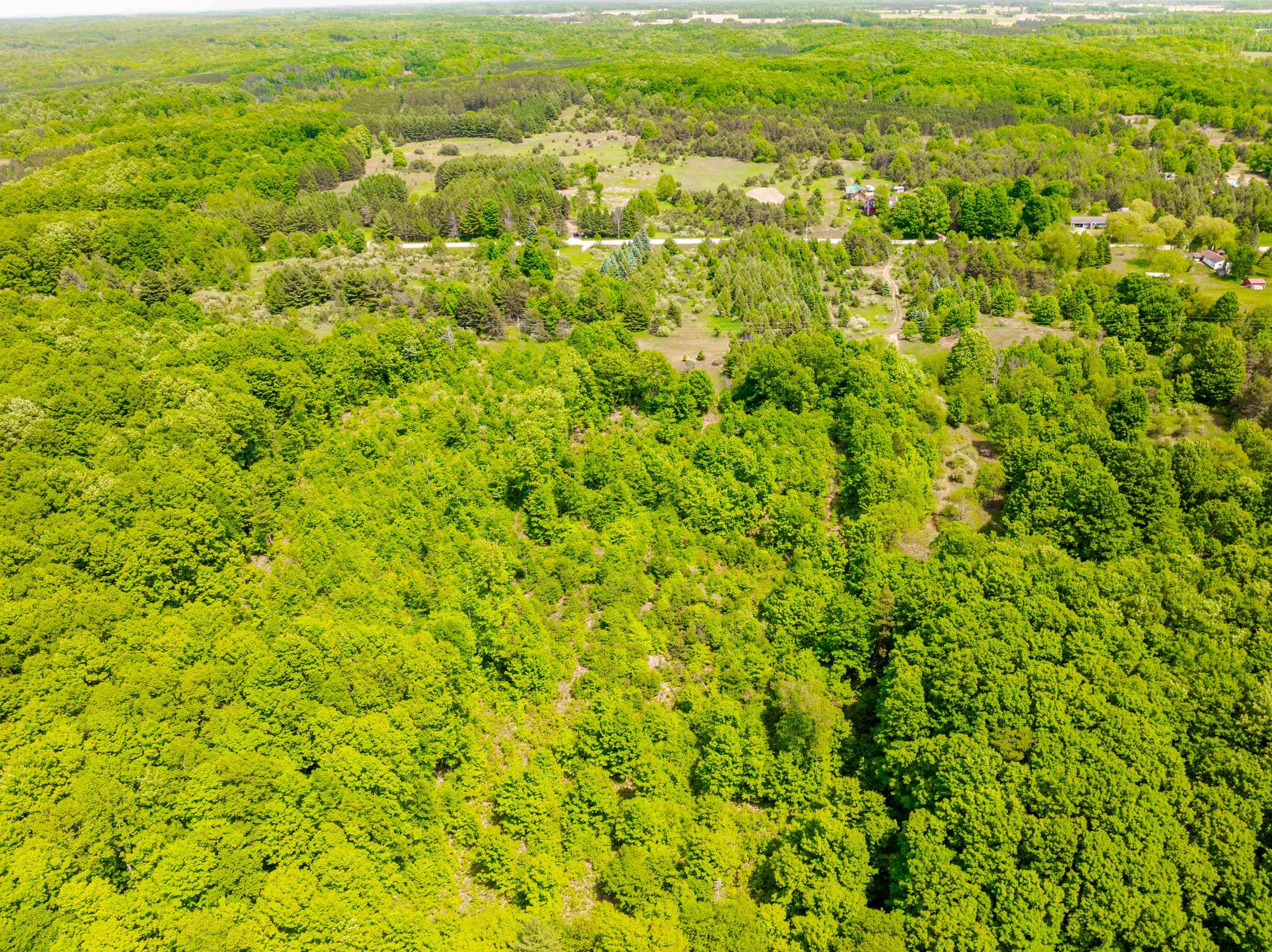 Tbd Traverse Road Thompsonville, MI 49683 - Photo 16 of 40