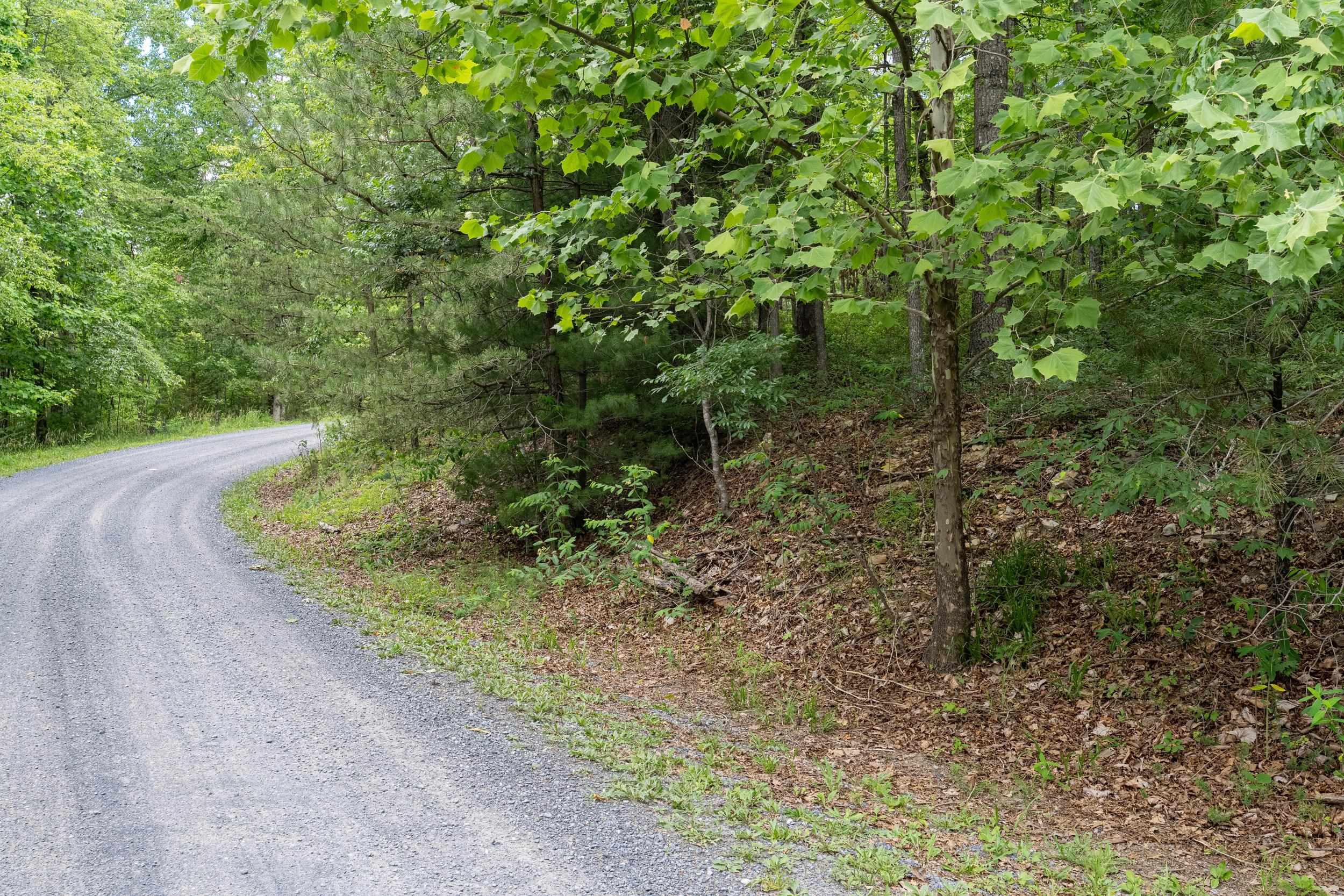 5 Rabbits Foot Road Hinton, VA 22831 - Photo 14 of 16