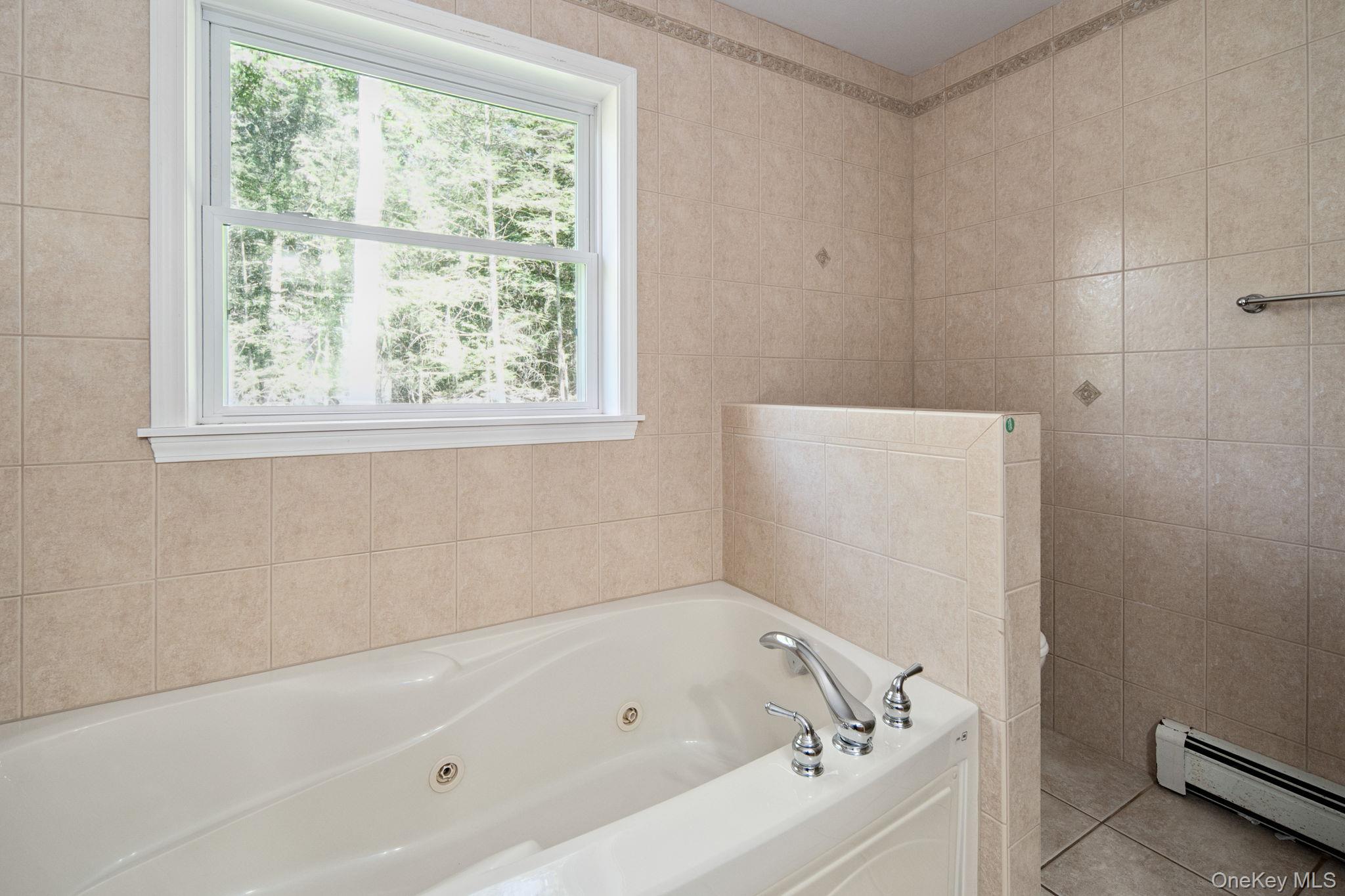 66 Highland Lake Road Eldred, NY 12732 - Photo 31 of 50 a white bath tub sitting next to a window