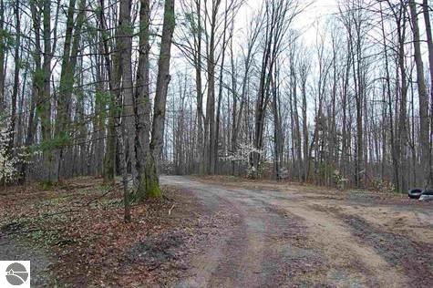 9847 Puffer Road Southwest South Boardman, MI 49680 - Photo 35 of 39 1794072-34.JPG