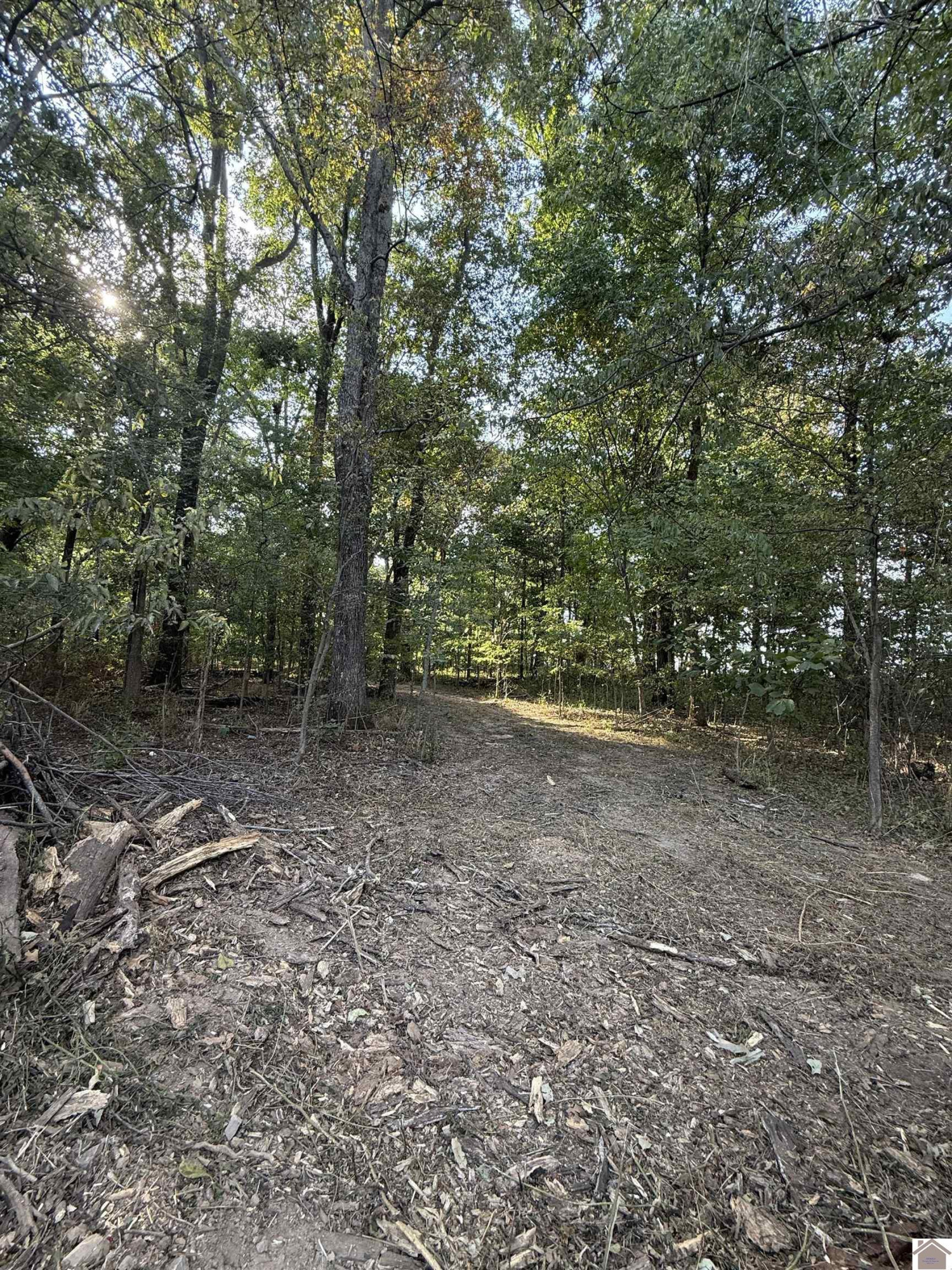 1473 Watson Road Murray, KY 42071 - Photo 33 of 35 Photo 33