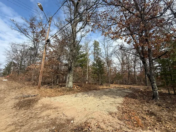 $10,000 | Vl South Yale Avenue, Baldwin, MI 49304