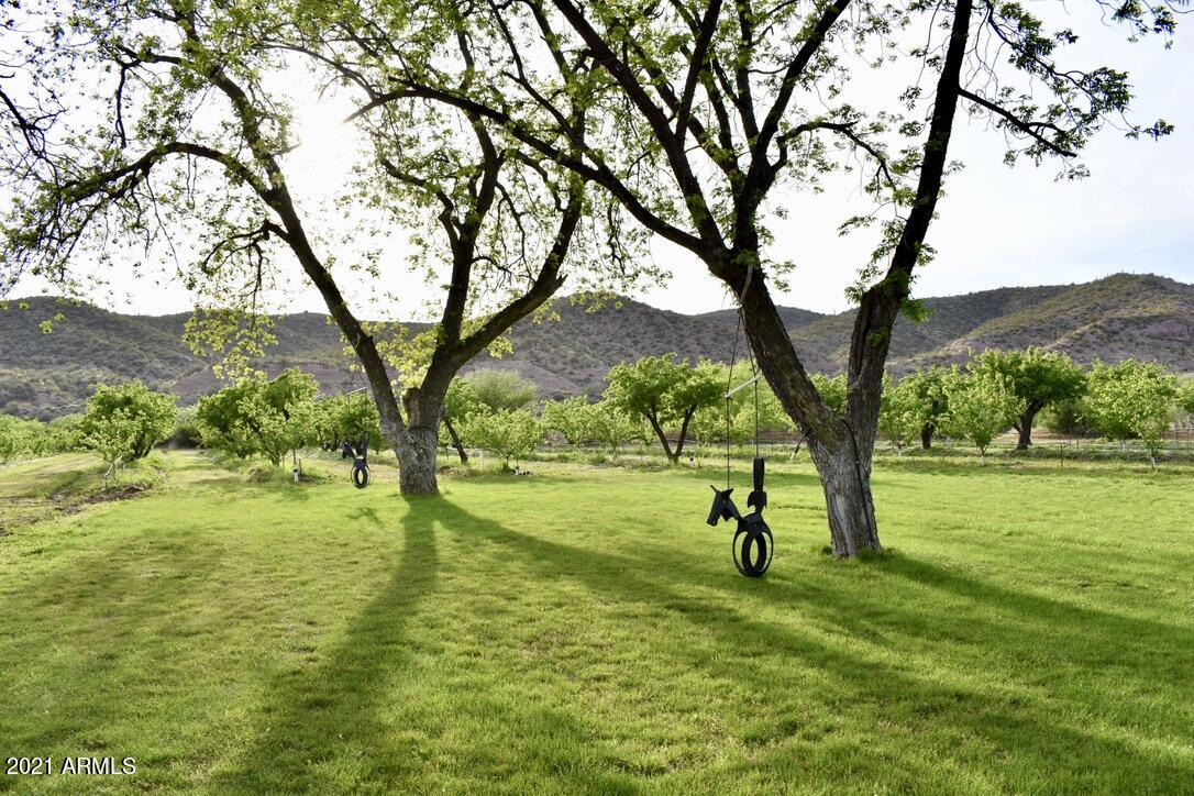 89395 East Aravaipa Road Winkelman, AZ 85192 - Photo 21 of 50 AF Meadow with Swings