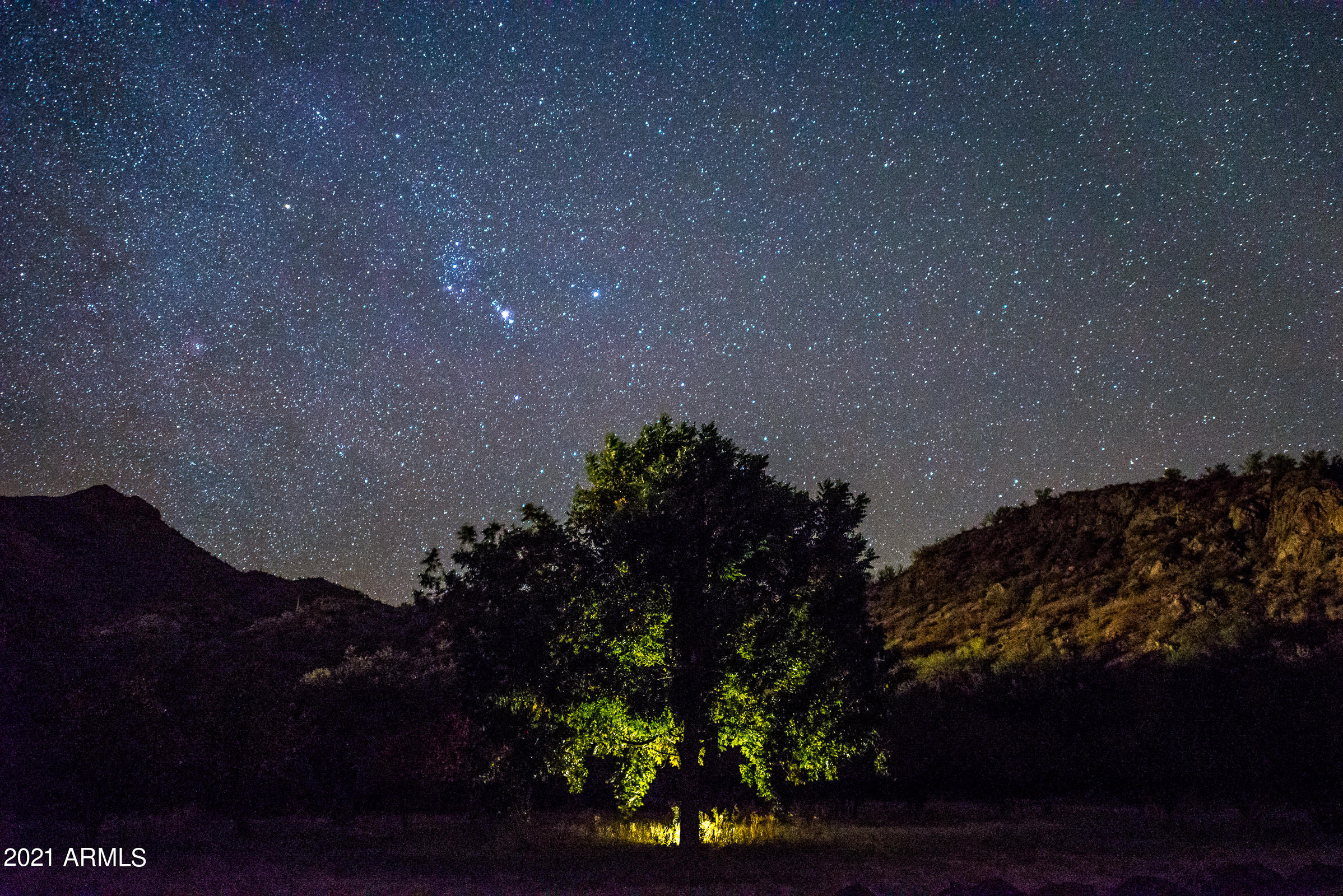 89395 East Aravaipa Road Winkelman, AZ 85192 - Photo 47 of 50 AF Pecan Tree with Stars