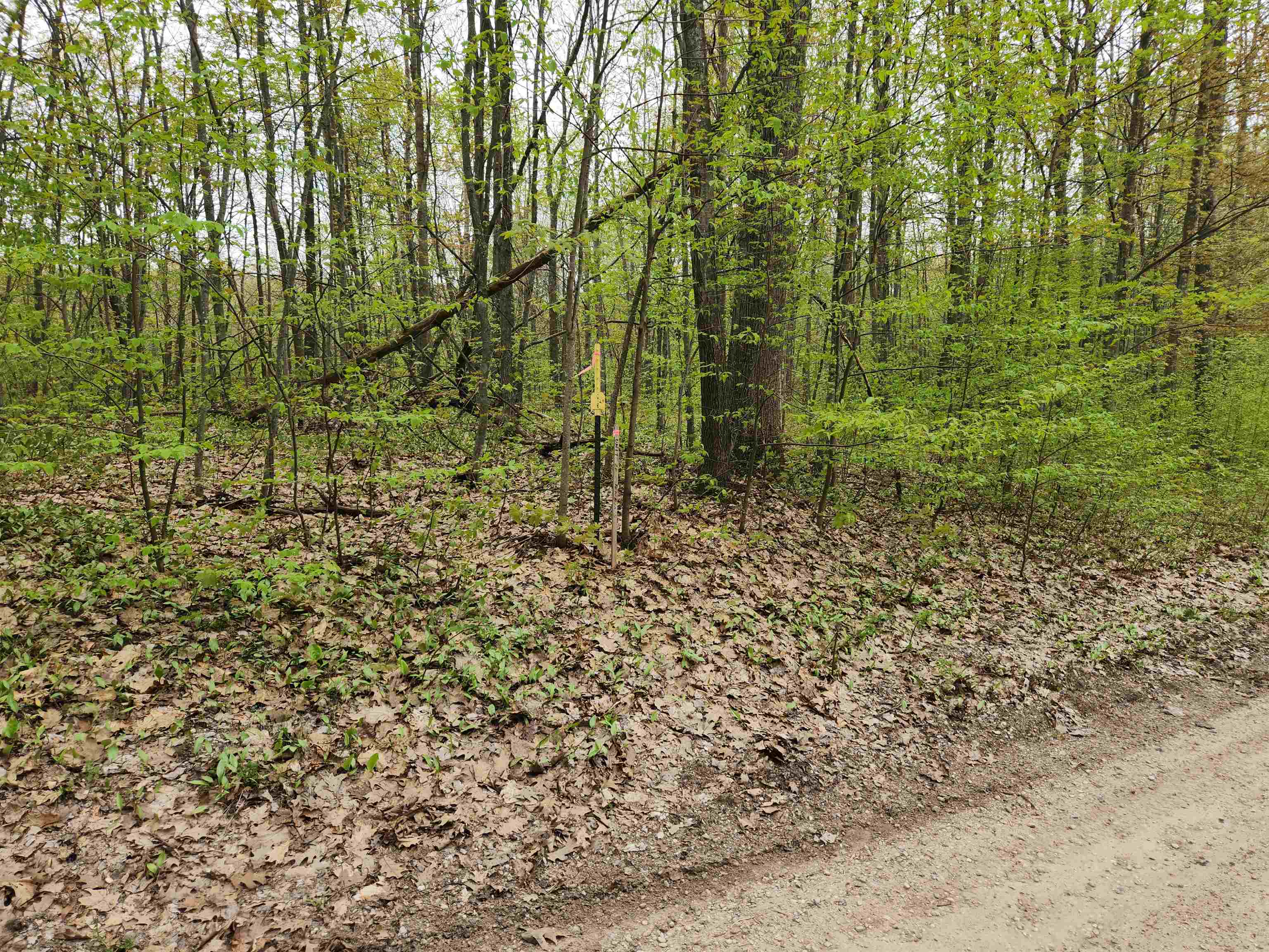 Lot 20 Heather Ridge Trail Beulah, MI 49617 - Photo 6 of 12
