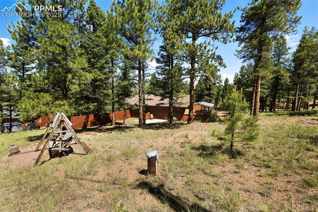 234 Wahsatch Road Florissant, CO 80816 - Photo 4 of 44