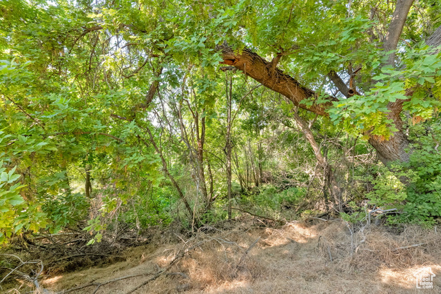 1632 South Main Street Springville, UT 84663 - Photo 89 of 93 View of nature