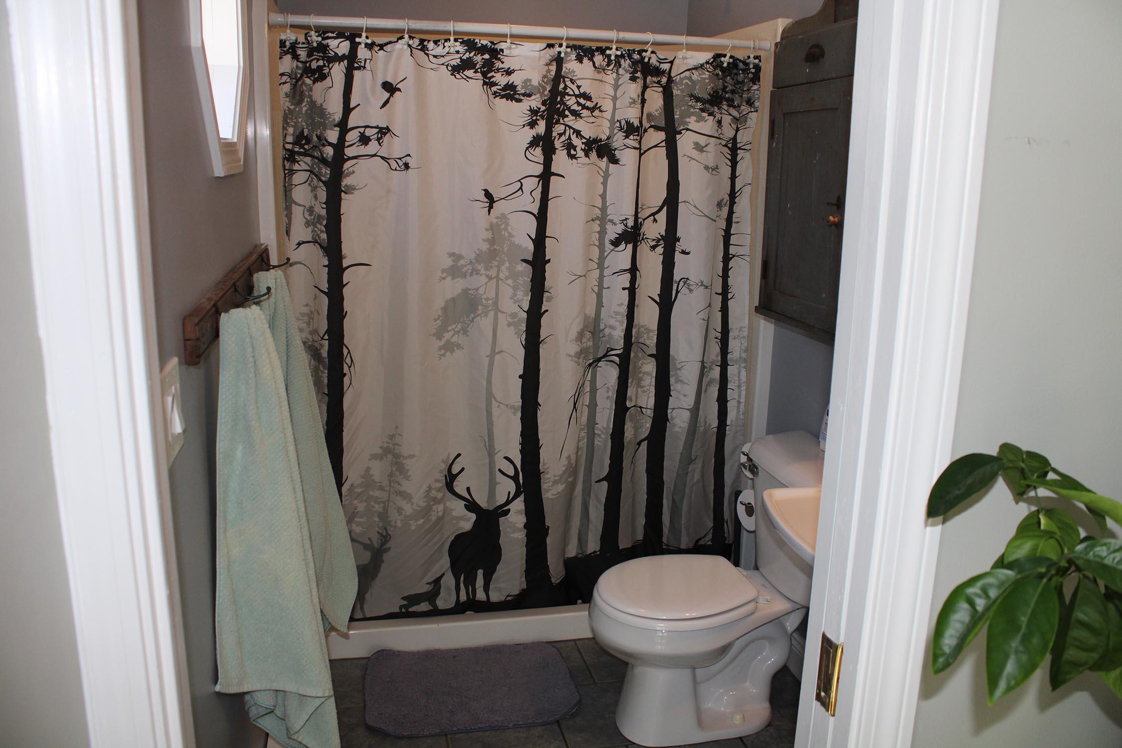 118 Tenny Hill Road Raymond, ME 04071 - Photo 11 of 18 IMG_0374
