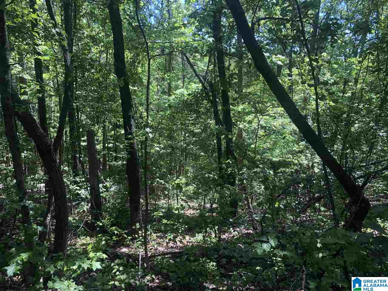 6874 Edge Street, Unit 10 ACRES Bessemer, AL 35022 - Photo 4 of 7