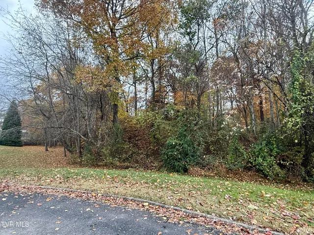 $40,000 | Tbd Grassy Circle, Gray, TN 37615