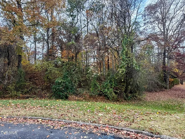 $40,000 | Tbd Grassy Circle, Gray, TN 37615