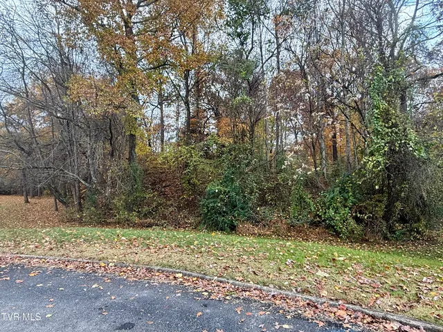 $40,000 | Tbd Grassy Circle, Gray, TN 37615
