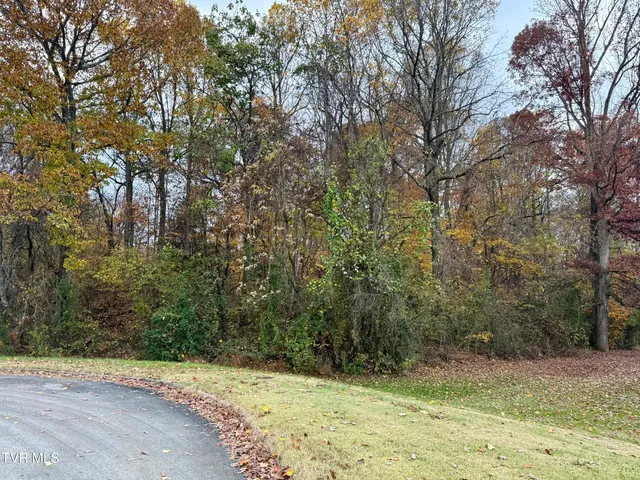 $40,000 | Tbd Grassy Circle, Gray, TN 37615