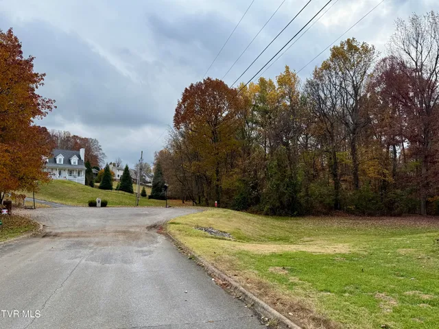 $40,000 | Tbd Grassy Circle, Gray, TN 37615