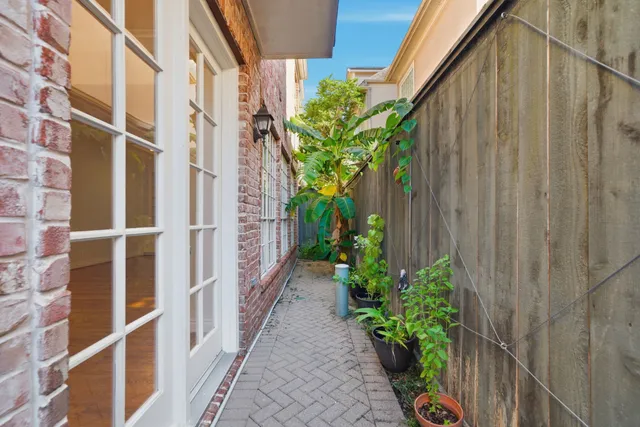 a backyard with potted plants