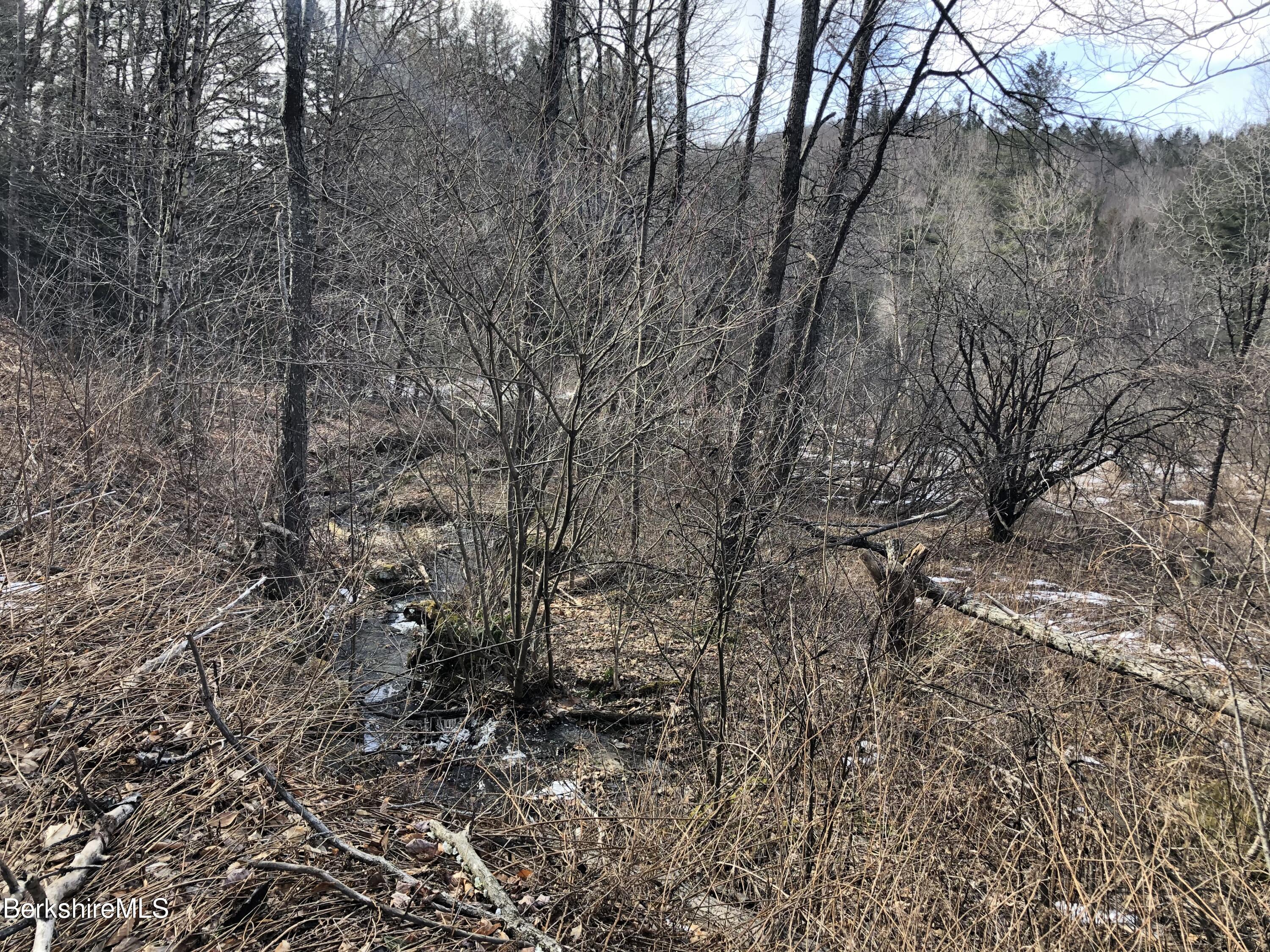 18 West Hill Road Plainfield, MA 01070 - Photo 3 of 3 Land